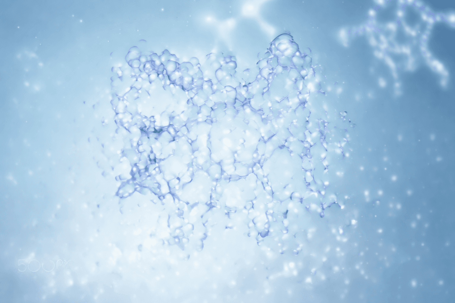 Best Anti-Inflammatory Peptides: A Research-Based Guide (2026)