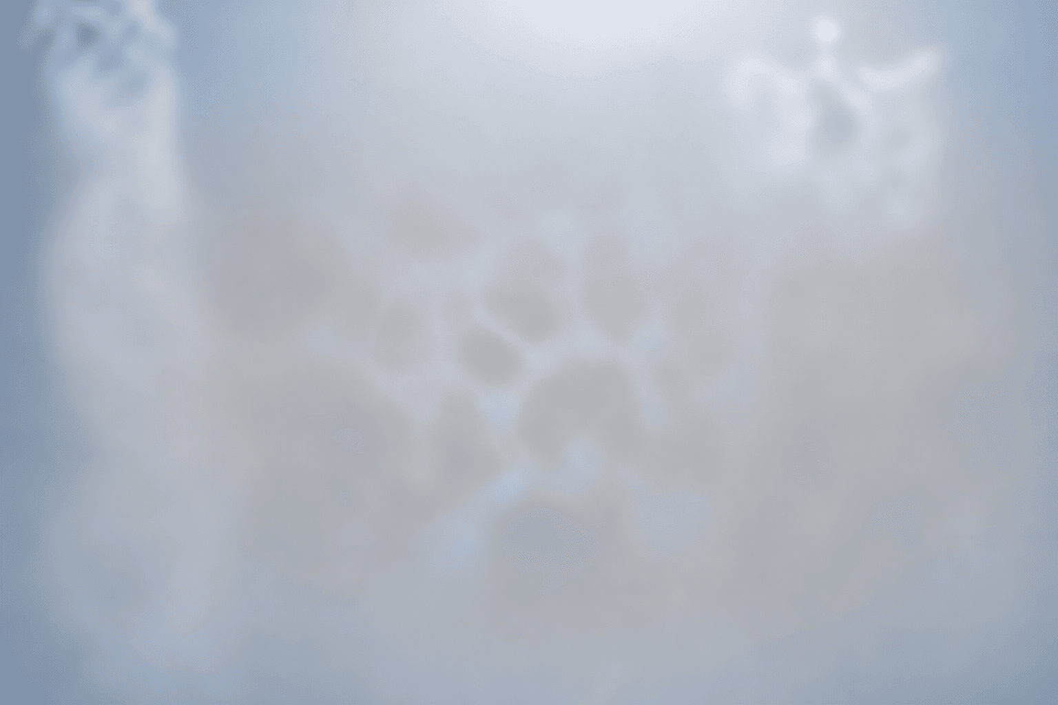 Best Peptides for Nerve Damage and Neuropathy: A Complete Research Guide (2026)