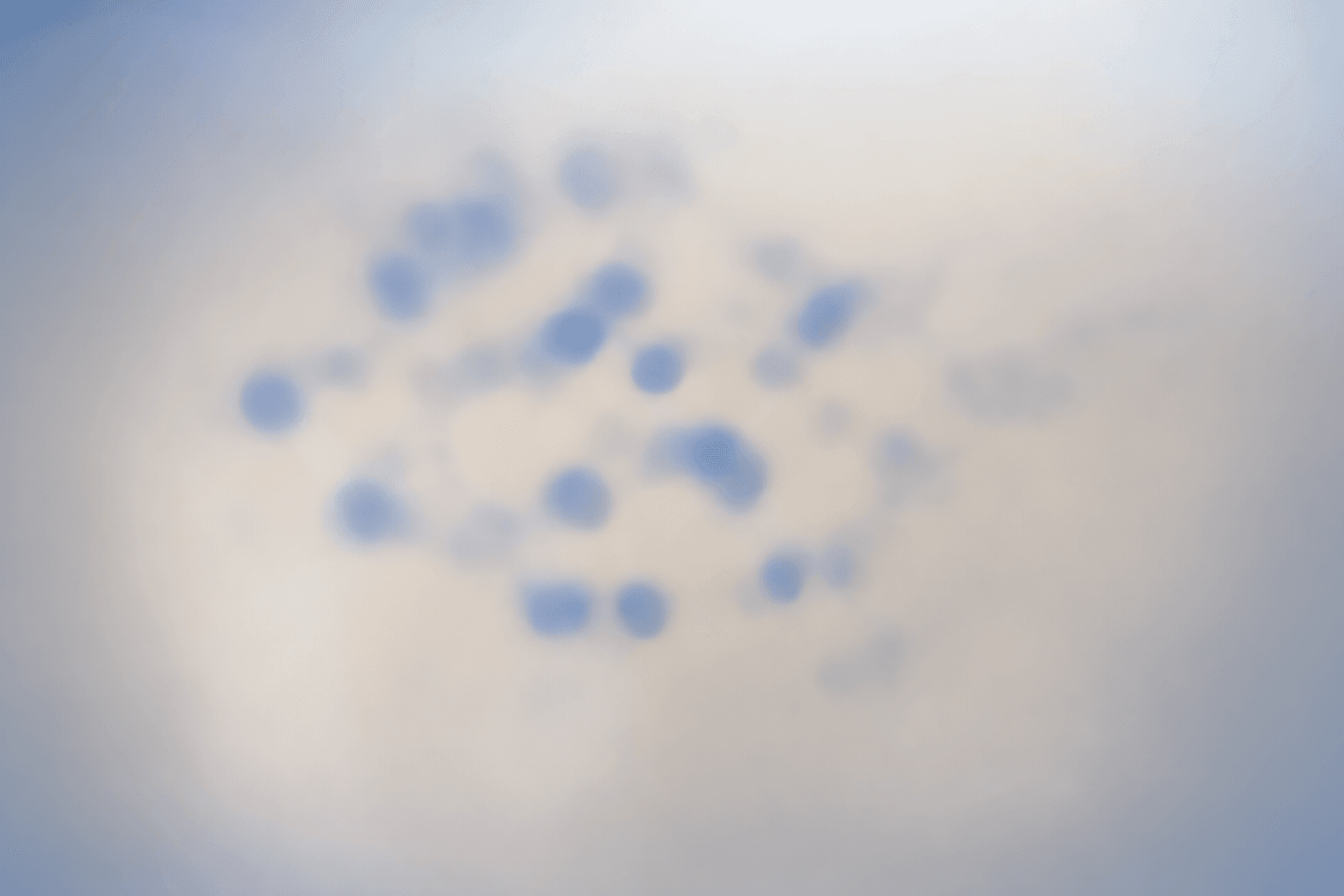 How to Read a Peptide COA (Certificate of Analysis): Complete Guide