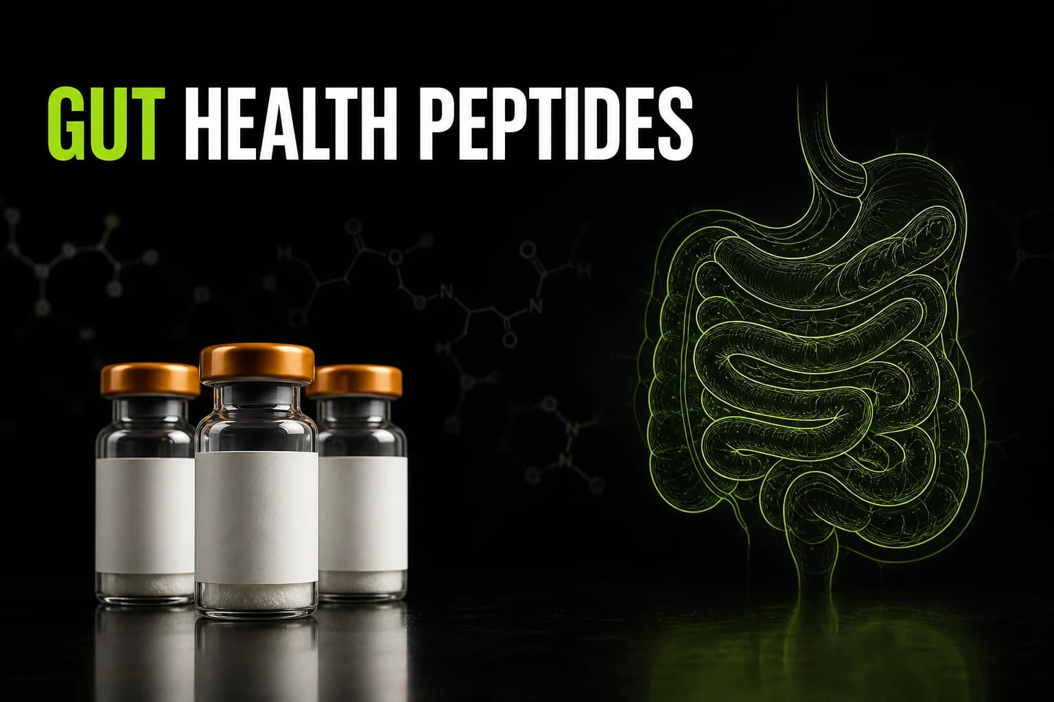 Gut Health Peptides: Which Ones Actually Have Human Evidence (2026)