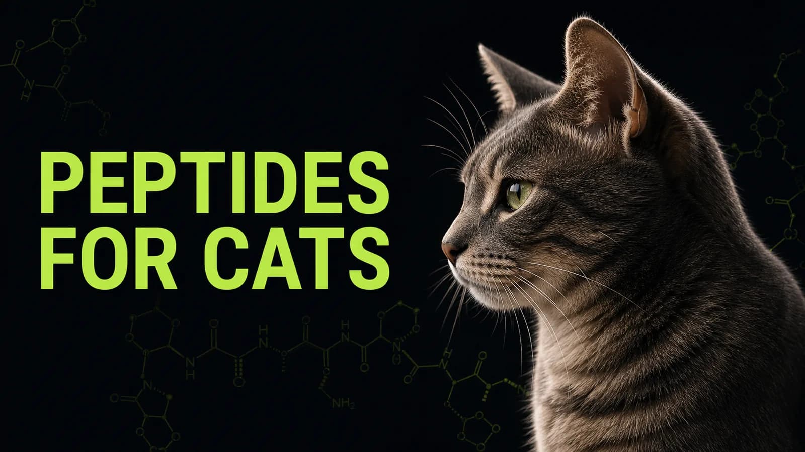 Peptides for Cats: BPC-157, IBD, Kidney Disease & Safe Dosing (2026)