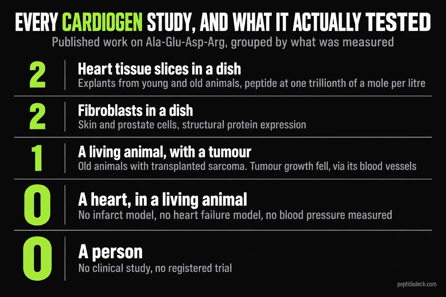 Tally of every published Cardiogen study by what was tested: two heart-tissue explant cultures, two fibroblast culture studies, one living-animal tumour study, zero studies of a heart in a living animal, and zero studies in people