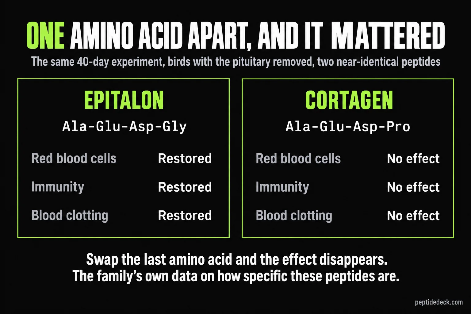 Side-by-side comparison from the pituitary-removed bird experiment: Epitalon, Ala-Glu-Asp-Gly, restored red blood cells, immunity and blood clotting, while Cortagen, Ala-Glu-Asp-Pro, had no effect on any of the three