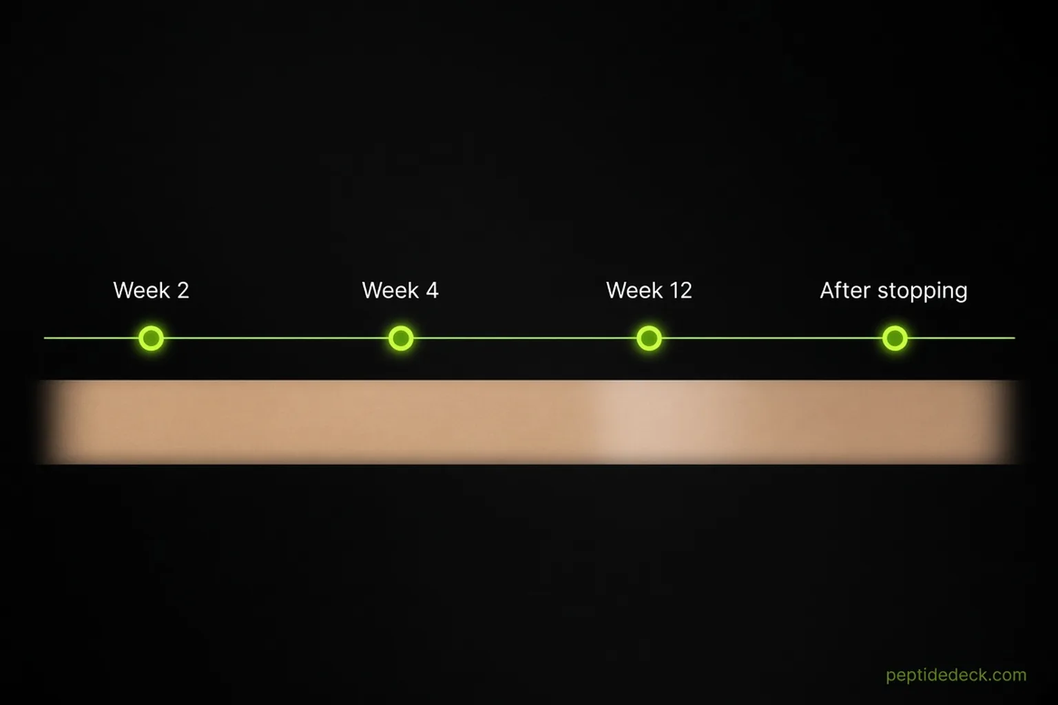 Horizontal timeline infographic with four markers labeled Week 2, Week 4, Week 12 and After stopping, above a gradient bar that lightens slightly then darkens again at the end