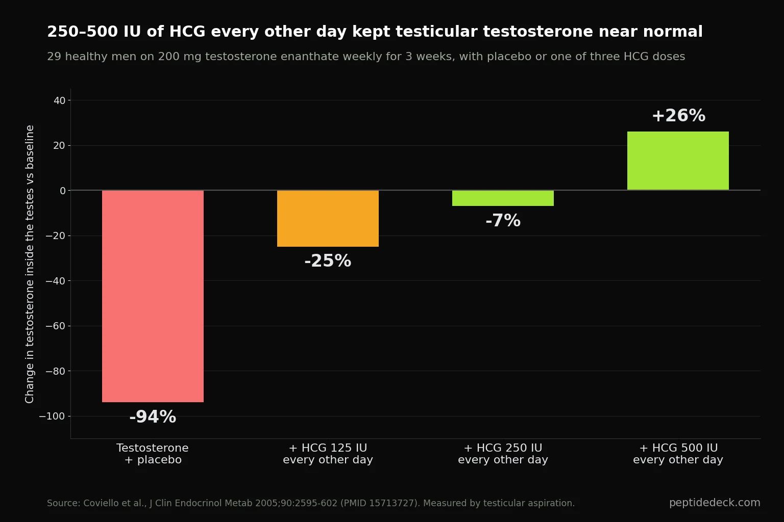 Bar chart: testicular testosterone fell 94% on testosterone plus placebo, 25% with HCG 125 IU, 7% with 250 IU, and rose 26% with 500 IU every other day