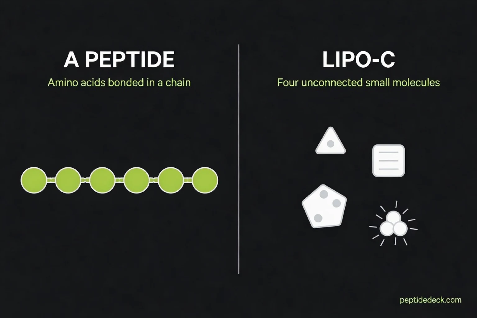 Diagram comparing a peptide, drawn as six beads linked in a chain, with Lipo-C, drawn as four separate unconnected small molecules