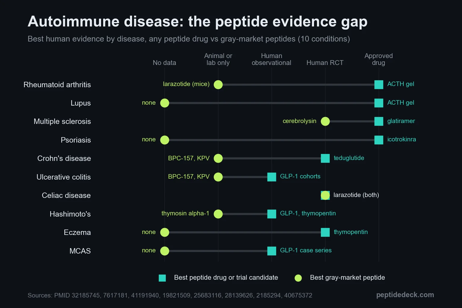 Dumbbell chart comparing the best human evidence for a peptide drug vs a gray-market peptide in 10 autoimmune conditions. Approved drugs exist for rheumatoid arthritis, lupus, MS and psoriasis, while gray-market peptides have no data or animal data in most conditions; celiac (larazotide) and MS (cerebrolysin) are the only human RCTs.