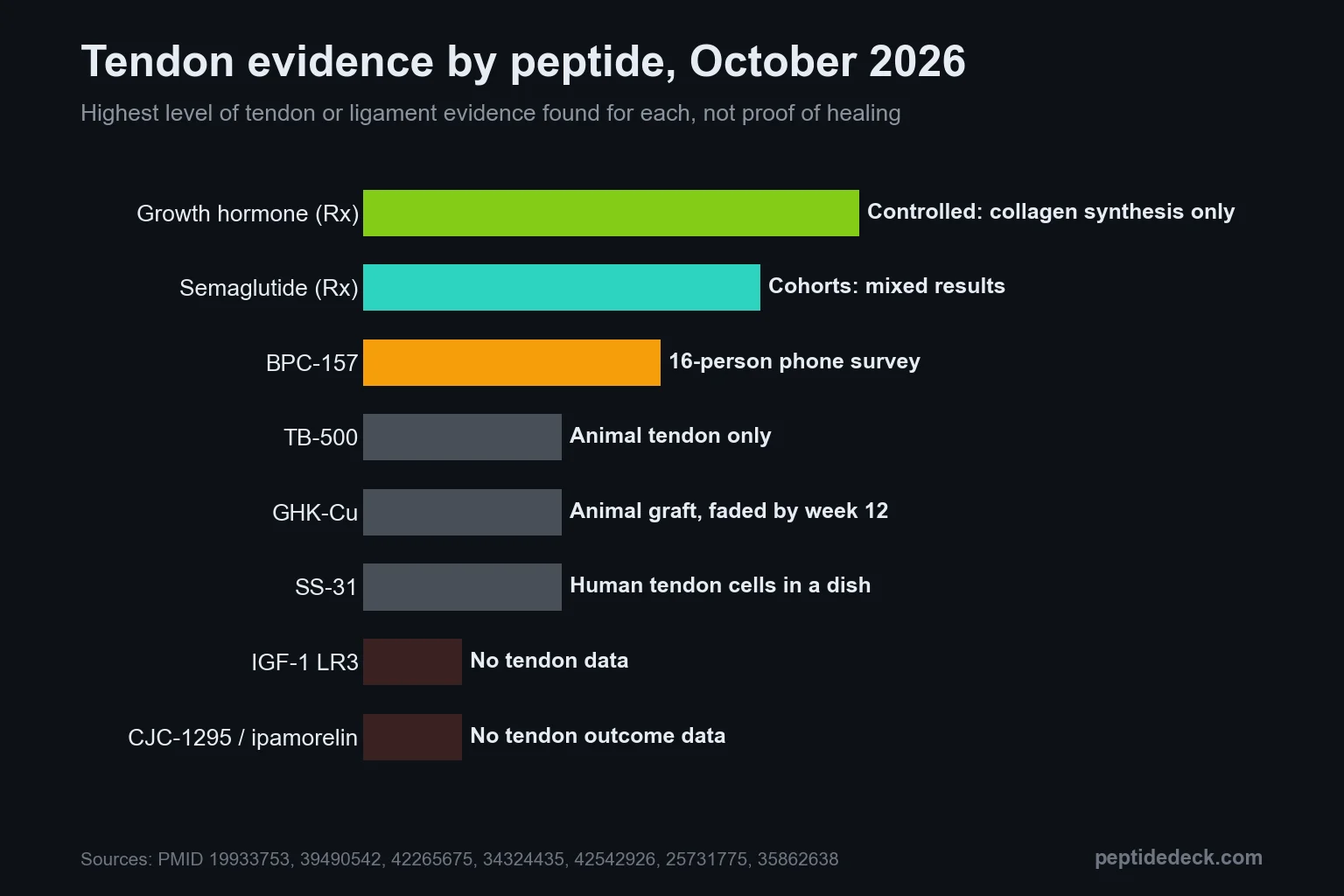 Bar chart ranking eight peptides by tendon evidence: growth hormone has a controlled human collagen study, semaglutide has mixed human cohorts, BPC-157 has a 16-person survey, TB-500, GHK-Cu and SS-31 have animal or cell data only, IGF-1 LR3 and CJC-1295 have none