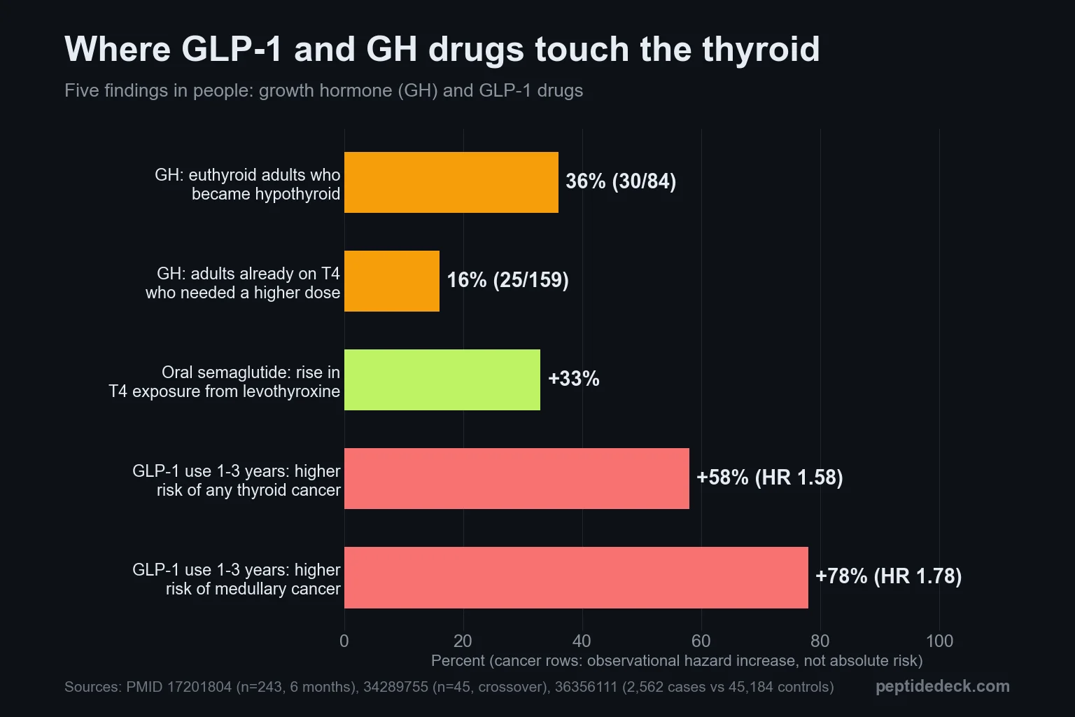 Horizontal bar chart: growth hormone made 36% of euthyroid adults hypothyroid and 16% of treated adults need more T4; oral semaglutide raised T4 exposure 33%; 1-3 years of GLP-1 use linked to 58% higher thyroid cancer and 78% higher medullary cancer hazard