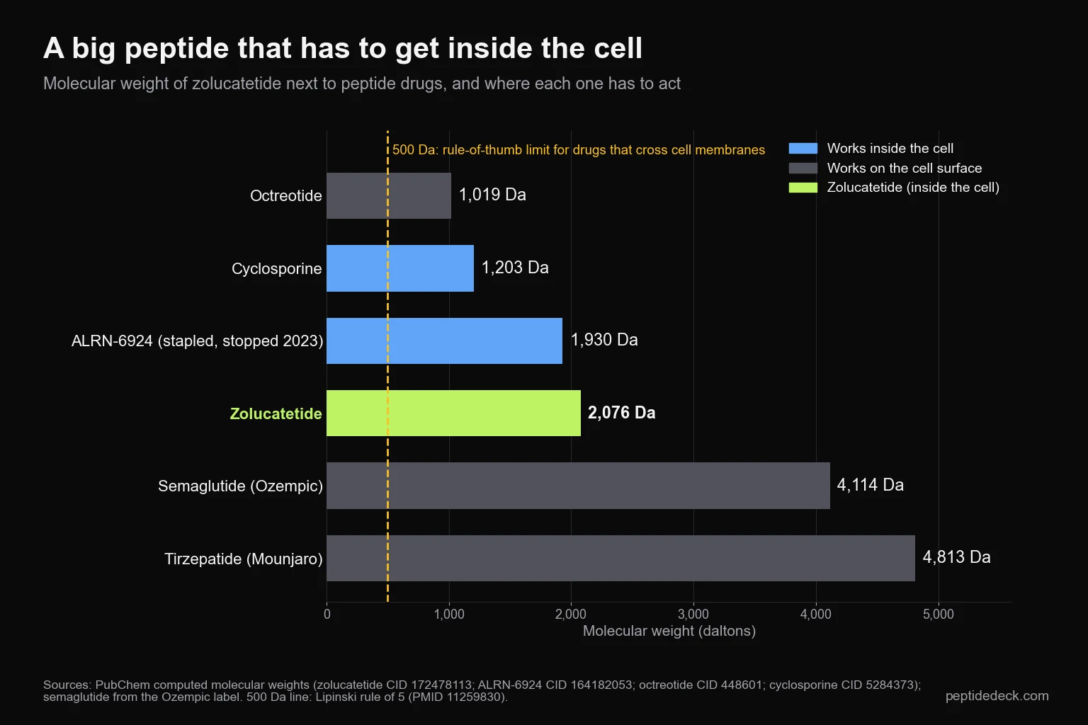 Bar chart of molecular weight: octreotide 1,019 Da, cyclosporine 1,203 Da, ALRN-6924 1,930 Da, zolucatetide 2,076 Da, semaglutide 4,114 Da, tirzepatide 4,813 Da, with a 500 dalton guideline line